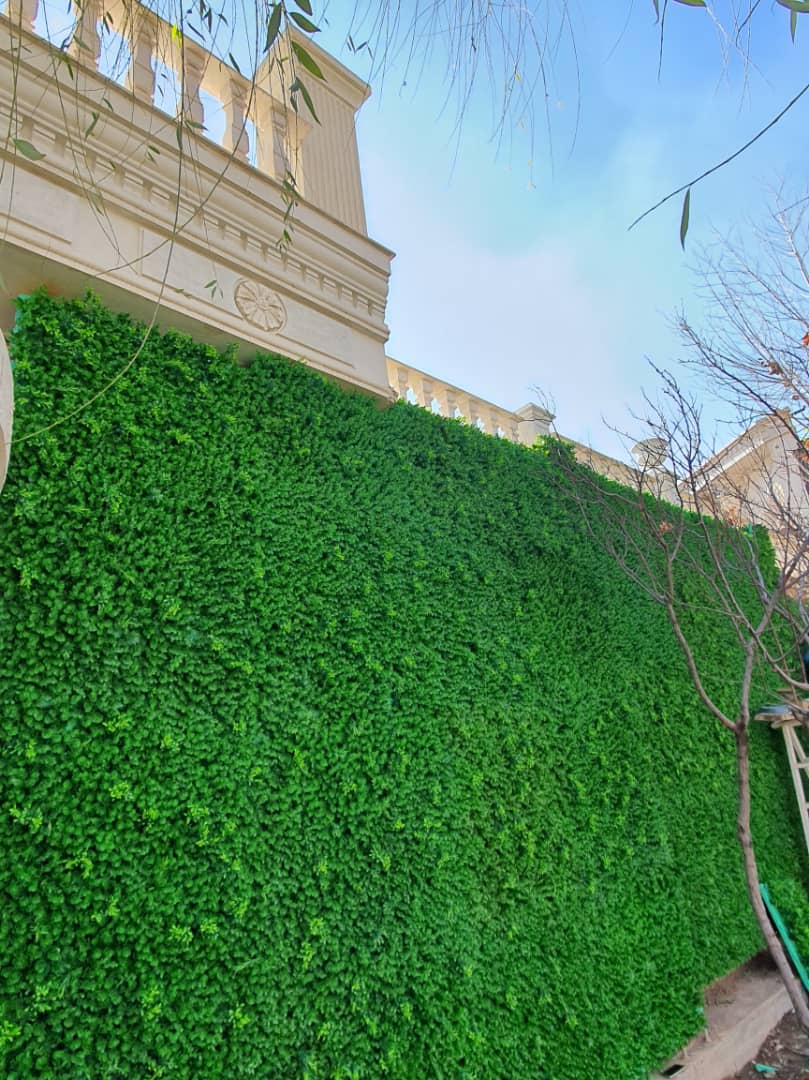گرین وال (دیوار سبز مصنوعی)
